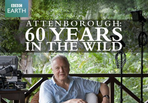 60 Năm Trong Hoang Dã Attenborough: 60 Years In The Wild