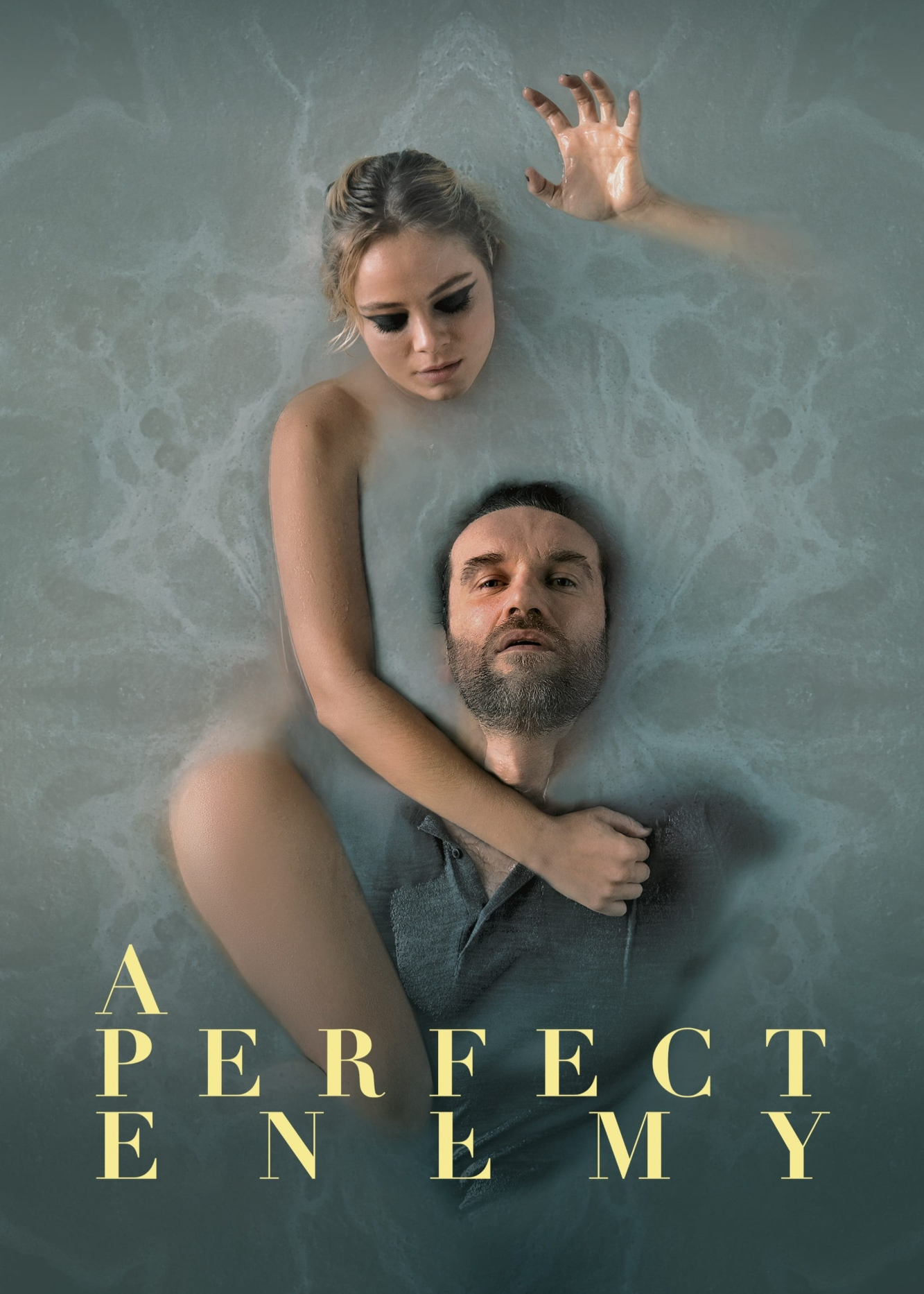 A Perfect Enemy (A Perfect Enemy) [2020]