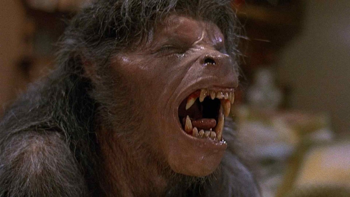 An American Werewolf in London Vietsub