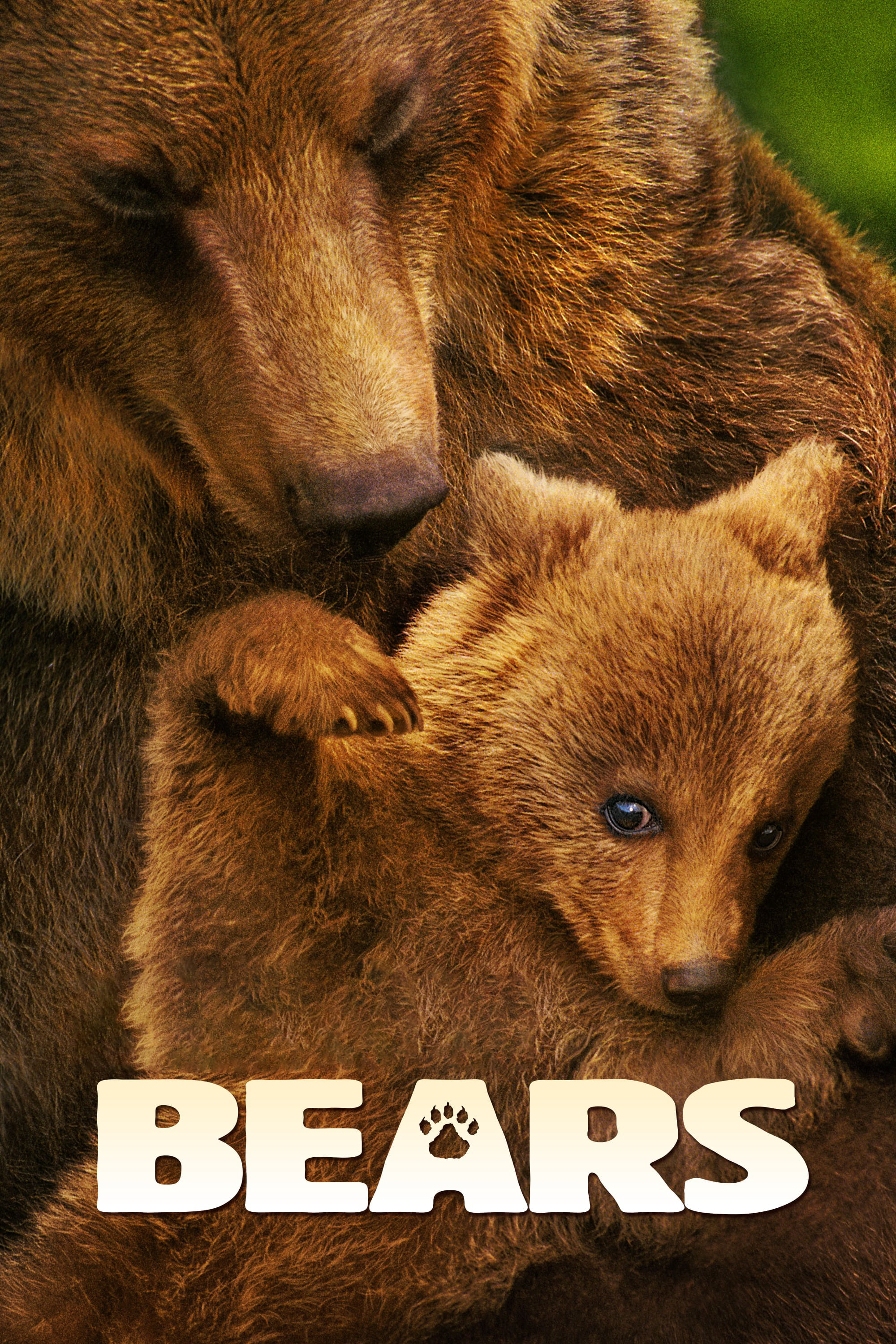 Bears (2014)