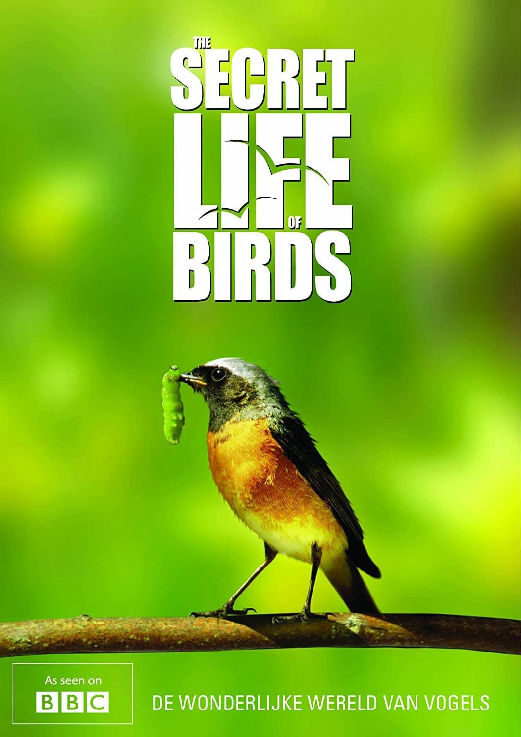 The Secret Life of Birds 