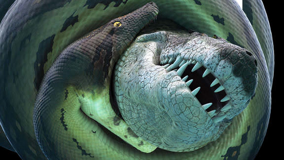 Bí Ẩn Quái Vật Khổng Lồ Titanoboa Vietsub