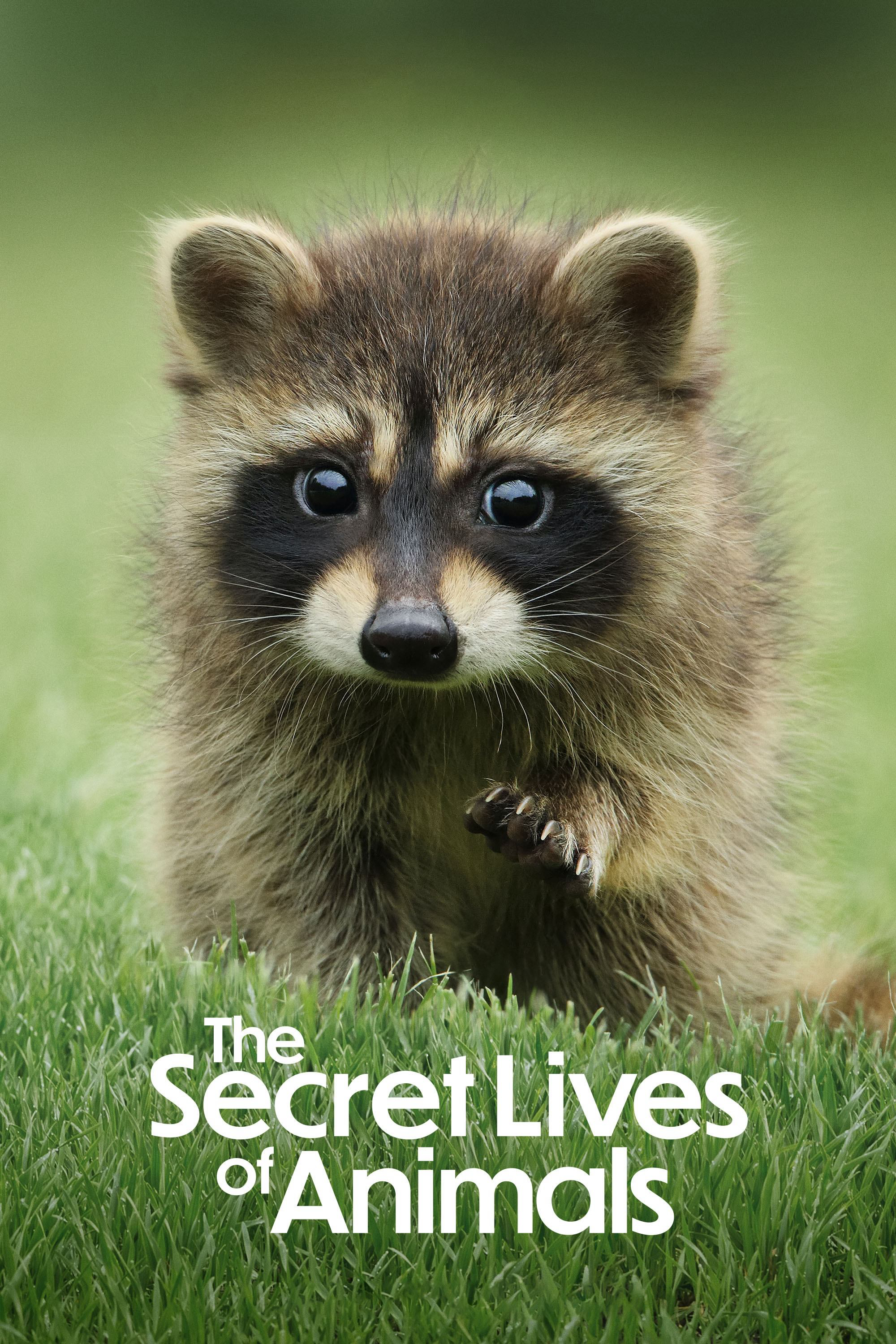 Bí Ẩn Về Thế Giới Động Vật | The Secret Lives of Animals (2024)