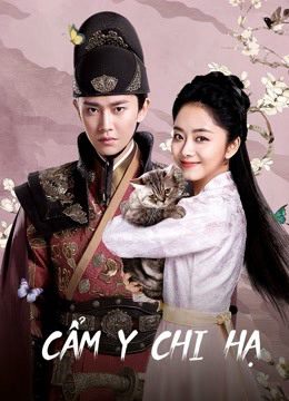 Cẩm Y Chi Hạ (2019)