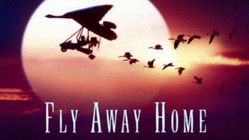 CHẮP CÁNH BAY XA  - Fly Away Home (1996)