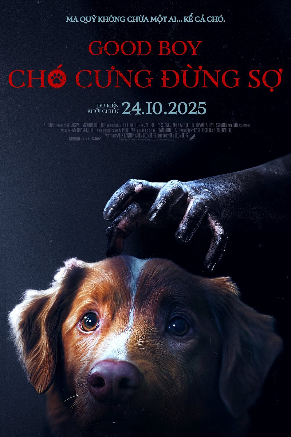 Chó Cưng Đừng Sợ Chó Cưng Đừng Sợ