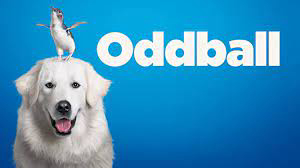 Chú Chó OddBall Oddball