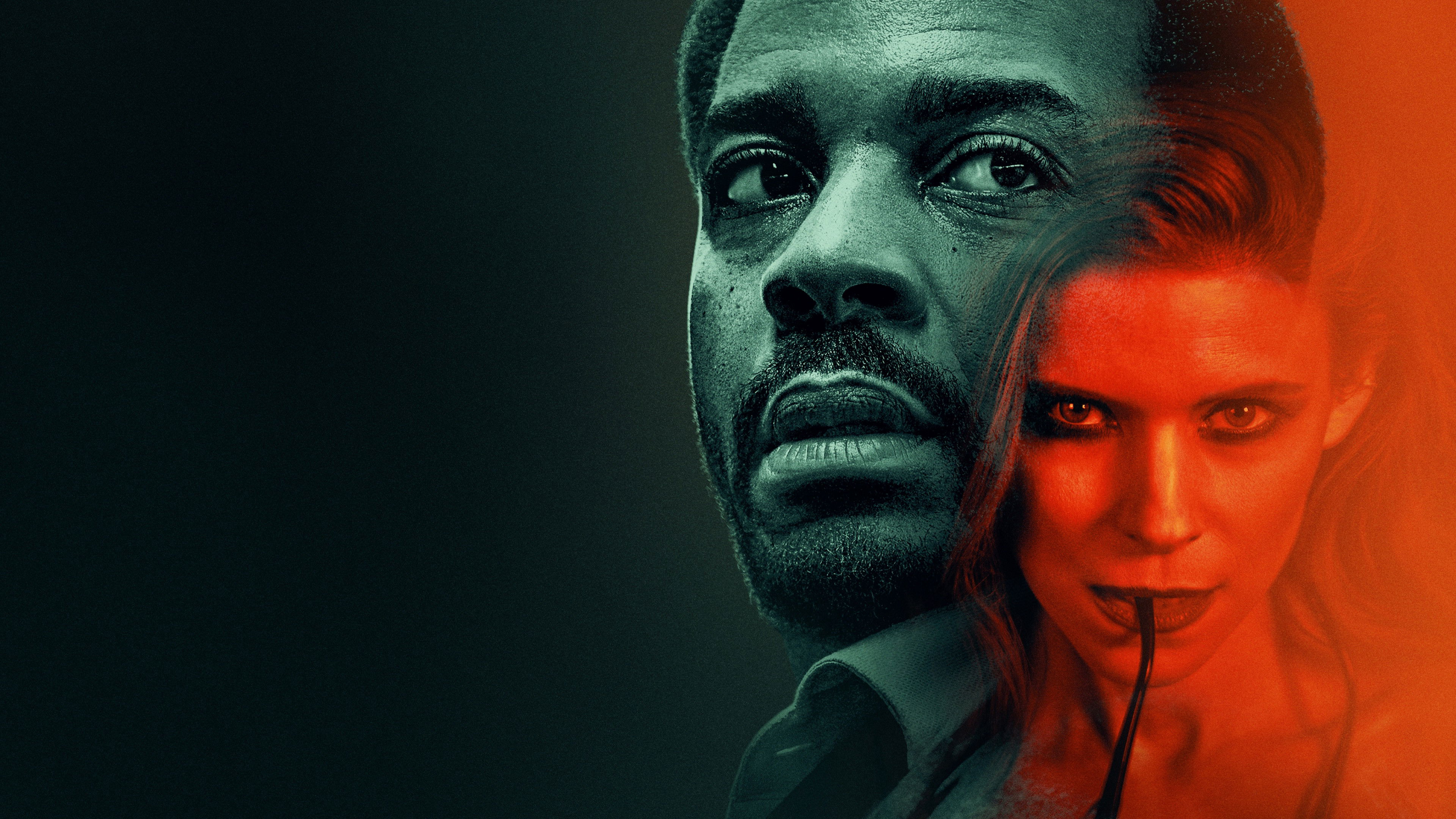 Poster phim Con Gà và Nắm Thóc