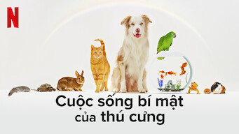 Cuộc sống bí mật của thú cưng Vietsub