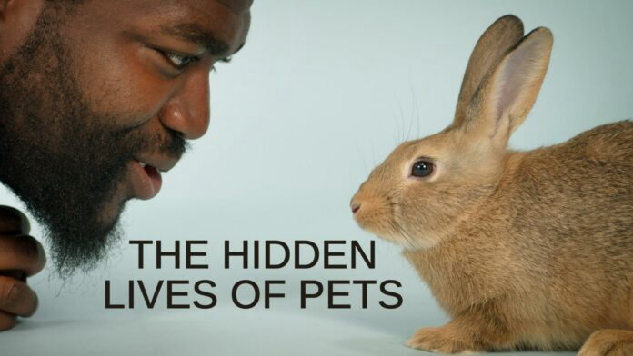 The Hidden Lives of Pets