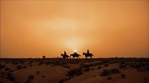 Cuộc Truy Lùng - The Searchers (1956)