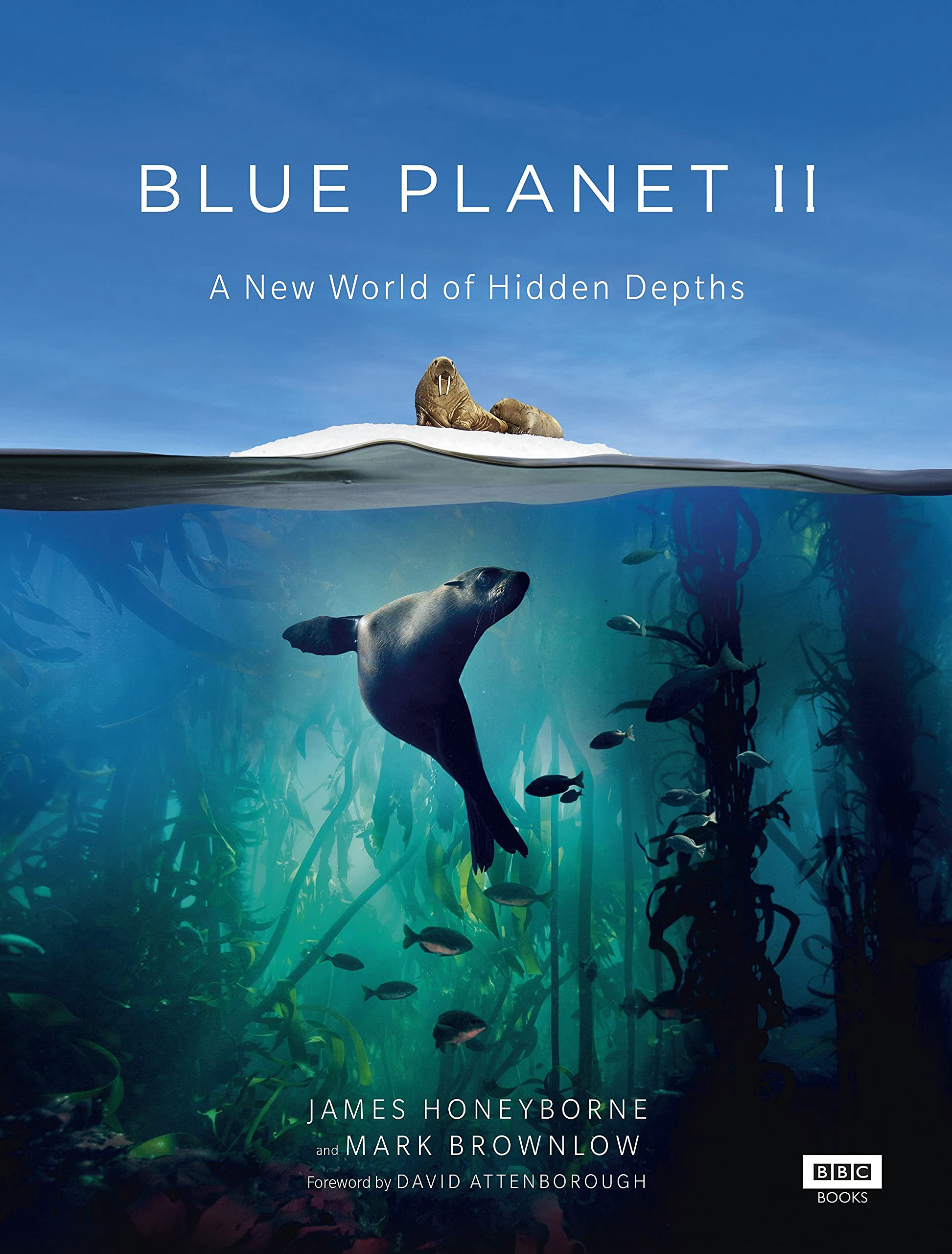 The Blue Planet 2