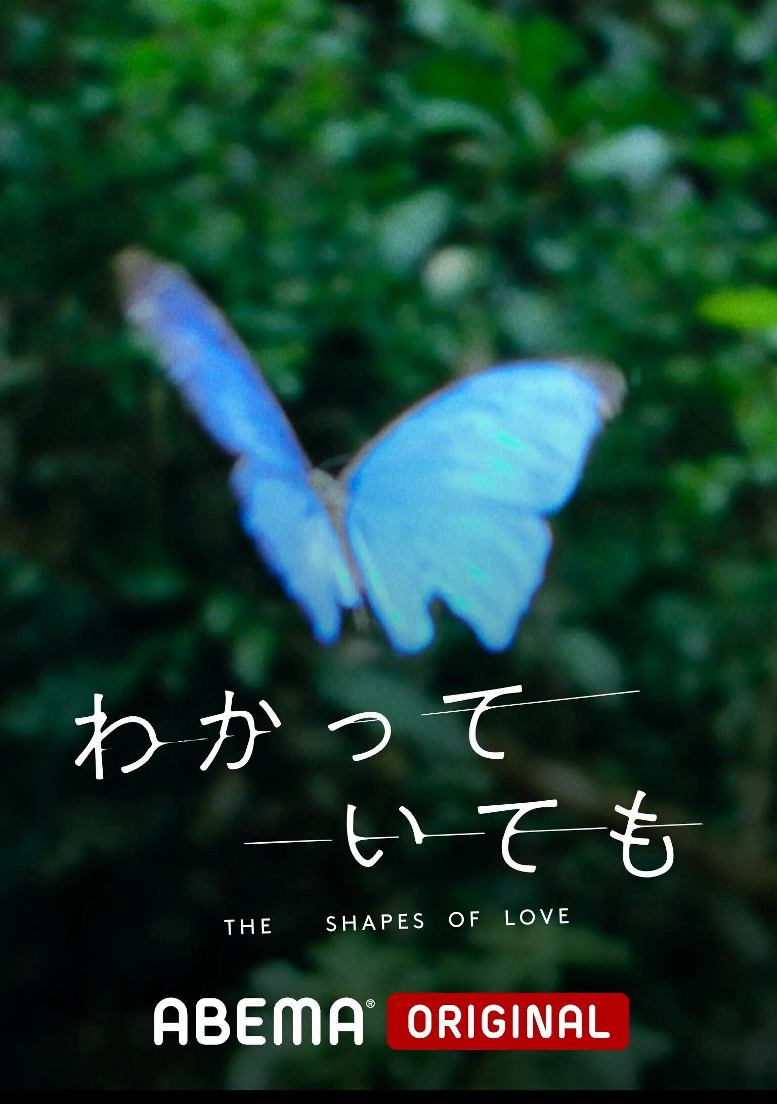 DẪU BIẾT DÁNG HÌNH TÌNH YÊU (The Shapes of Love) [2024]