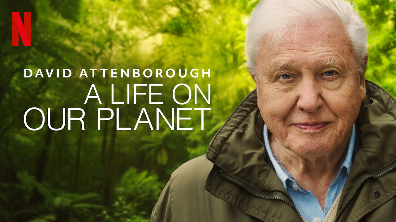 David Attenborough: Một cuộc đời trên Trái Đất - David Attenborough: A Life on Our Planet (2020)