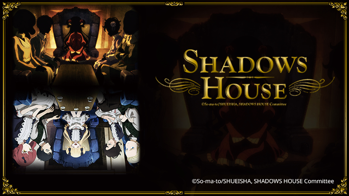 SHADOWS HOUSE