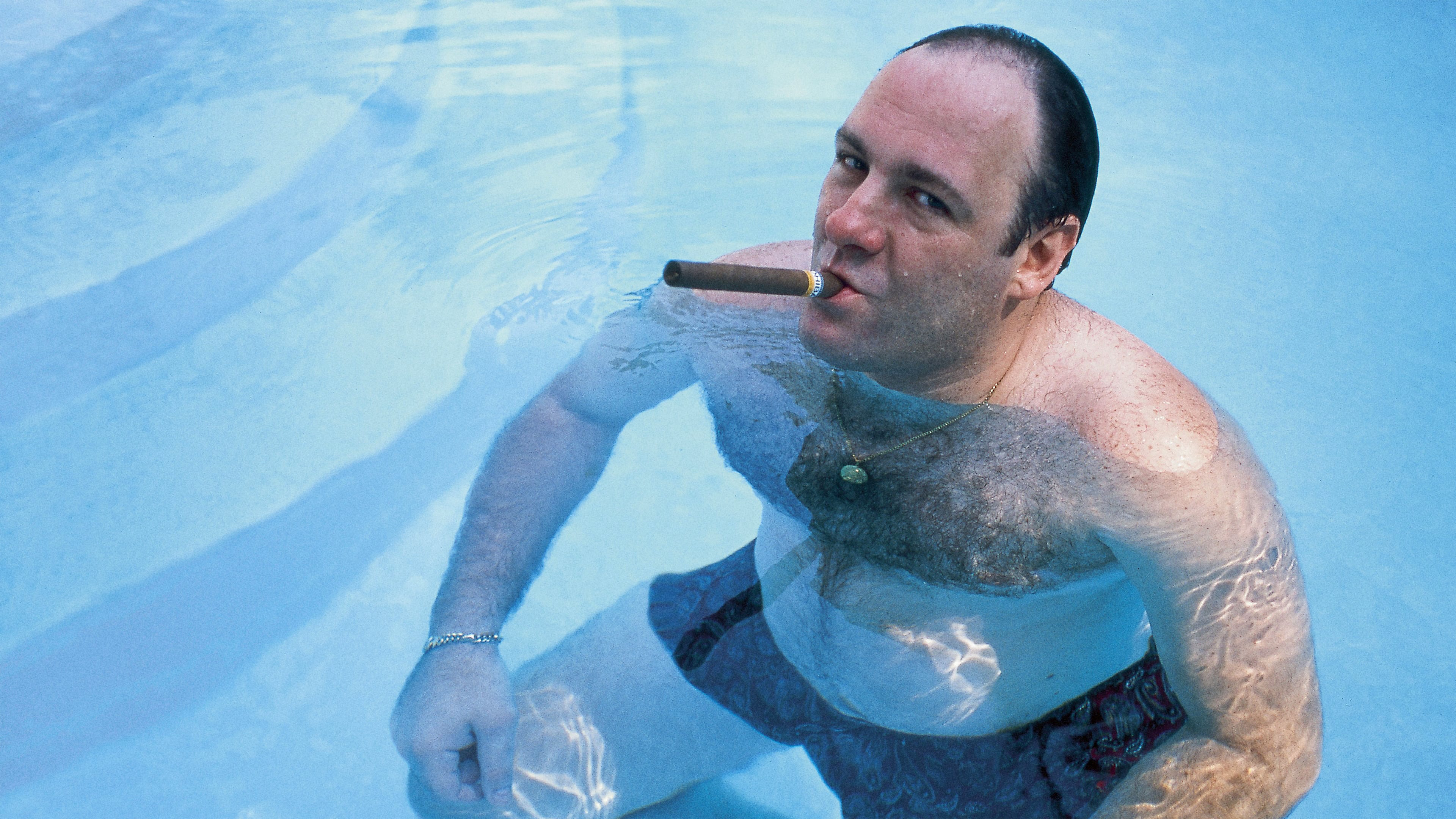 Gã Hợm Hĩnh David Chase Và Gia Đình Soprano Wise Guy: David Chase and The Sopranos