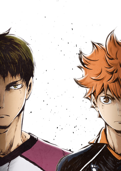 Haikyu!! (Season 3)