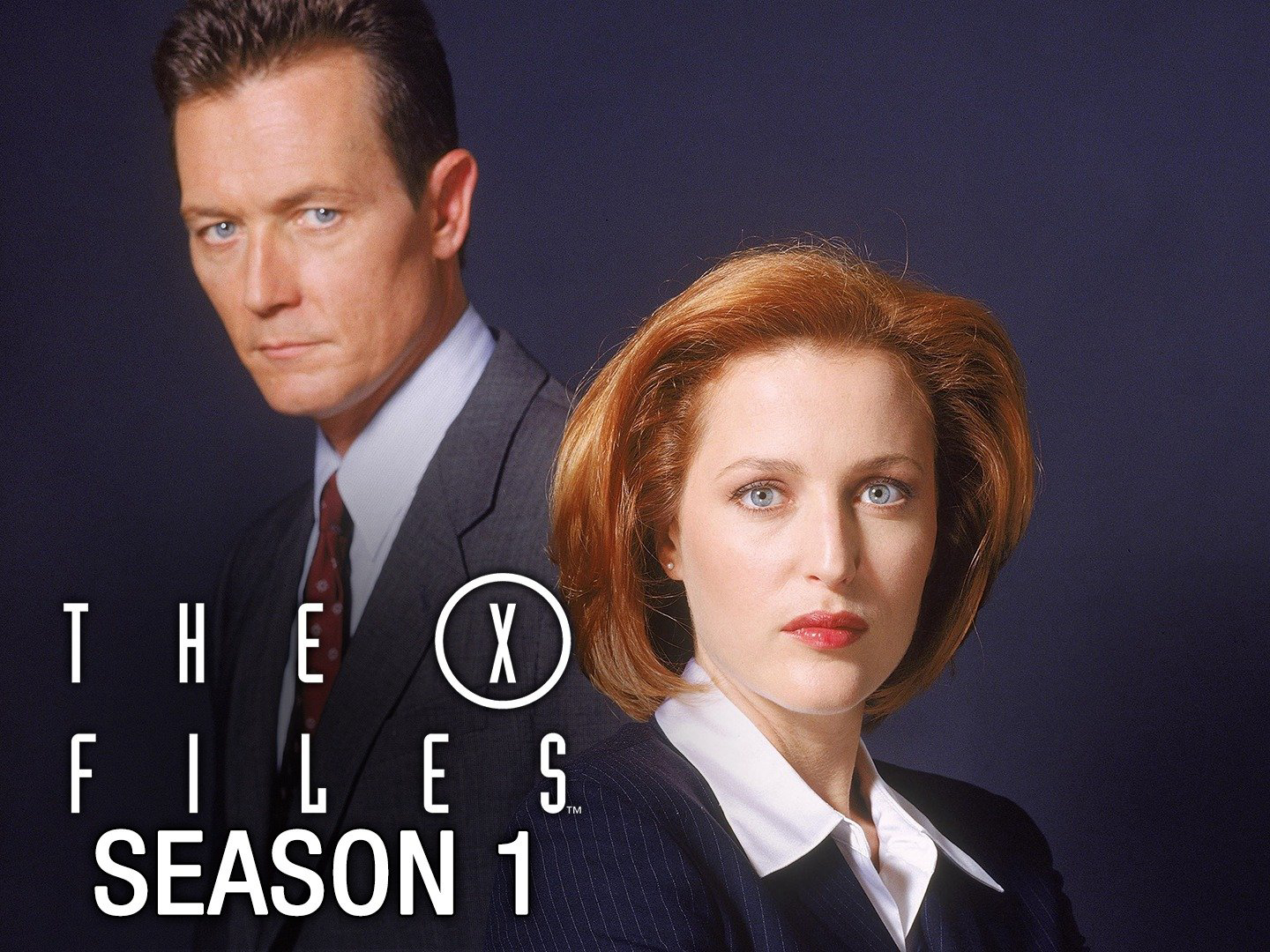 Hồ Sơ Tuyệt Mật (Phần 1) The X-Files (Season 1)