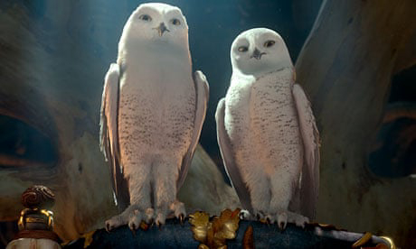 Hộ Vệ Xứ GaHoole - Legend Of The Guardians: The Owls Of Ga'Hoole (2010)