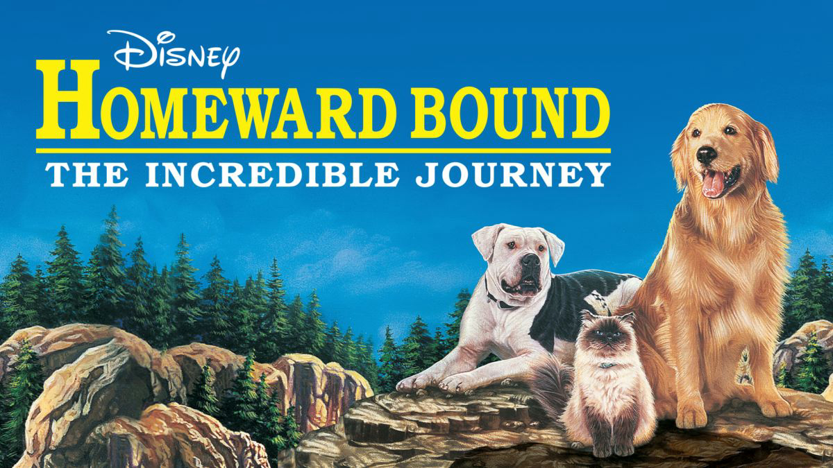 Homeward Bound: The Incredible Journey Vietsub