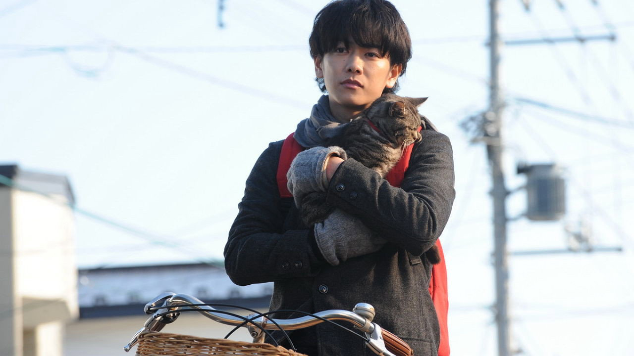If Cats Disappeared from the World Tập 