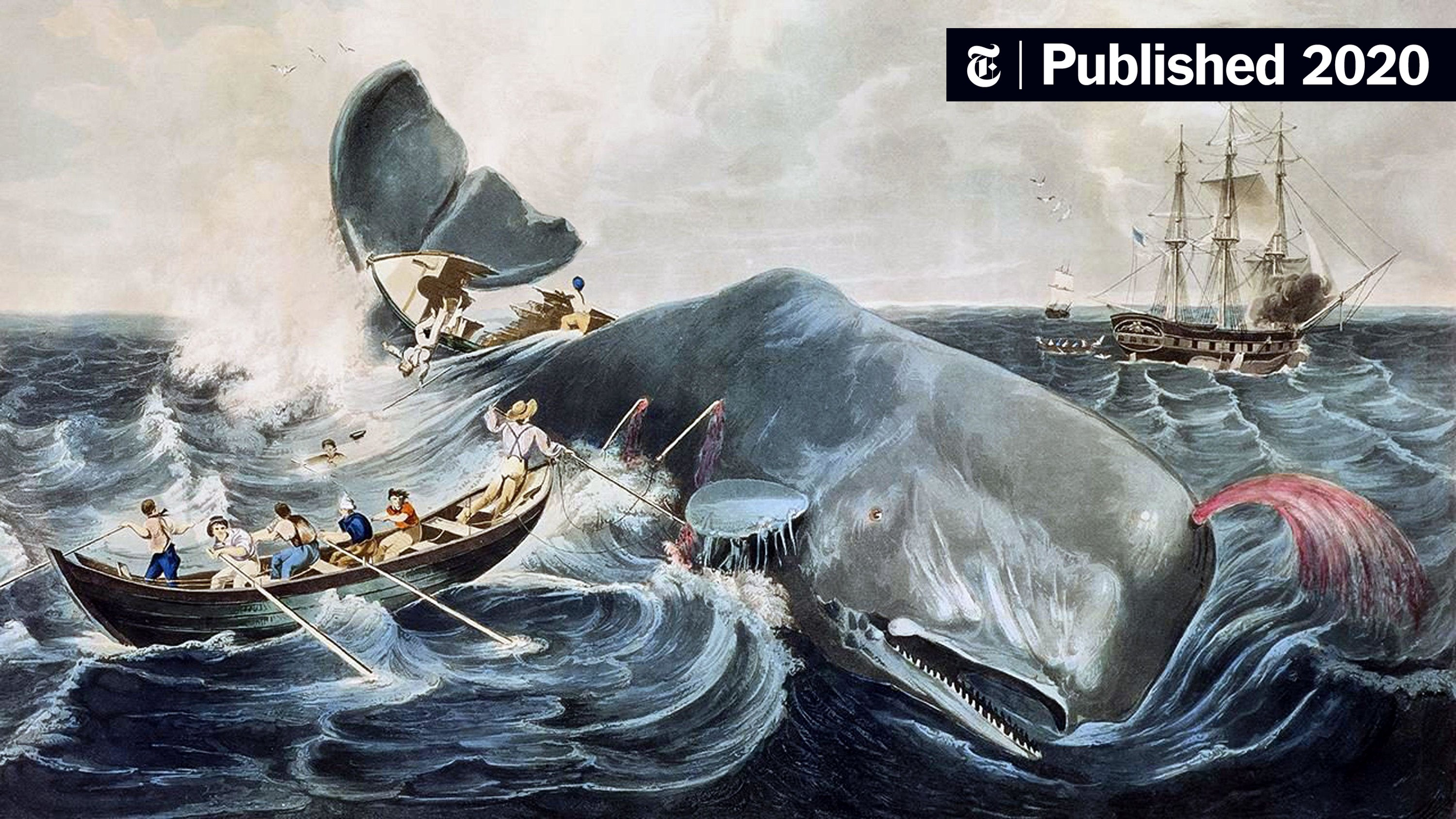 Kẻ Đưa Tin Moby Dick