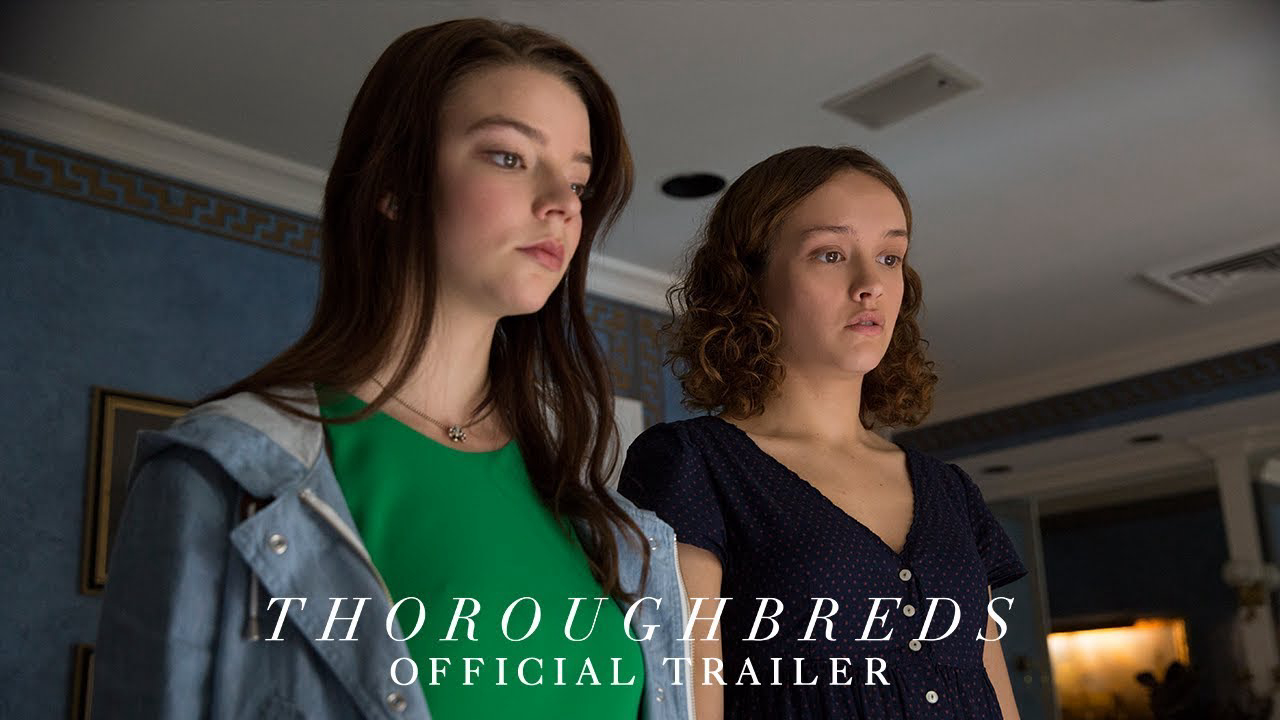 Thoroughbreds