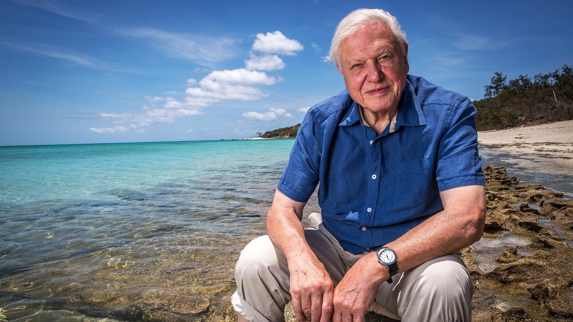 Khám Phá Rạn San Hô Great Barrier cùng David Attenborough Great Barrier Reef with David Attenborough