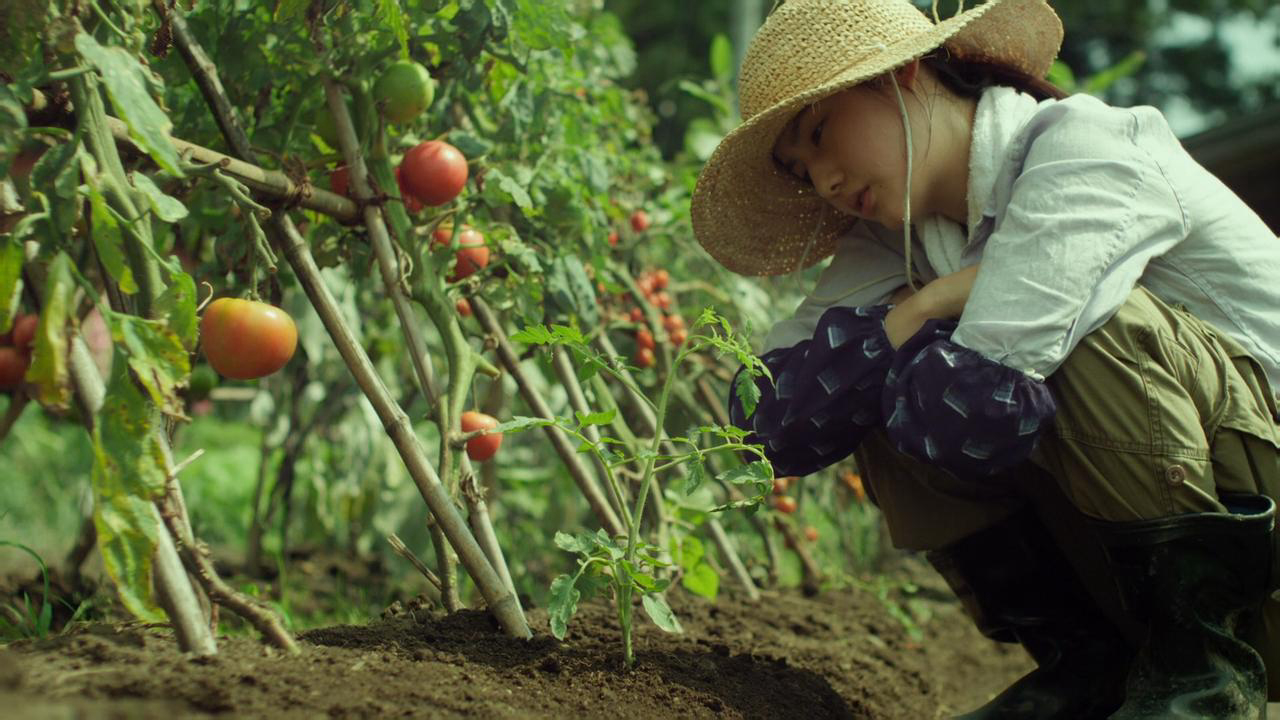 Little Forest: Summer/Autumn Vietsub