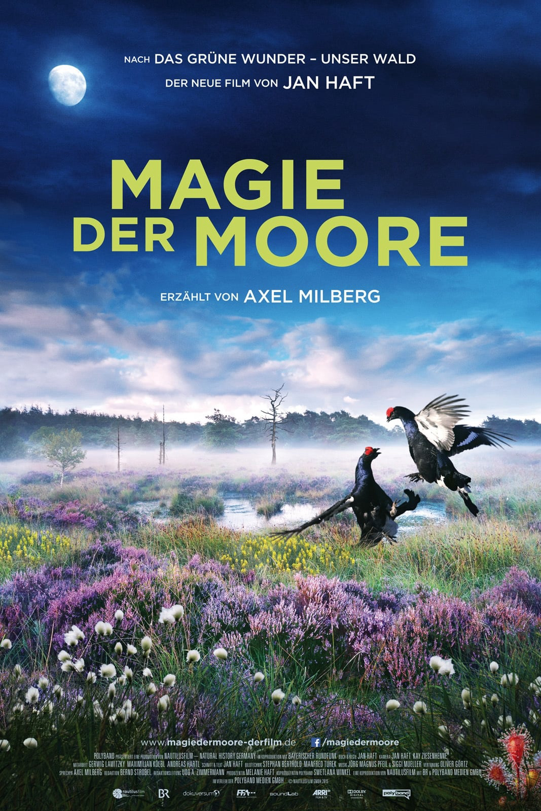 Magie der Moore (Magie der Moore) [2015]