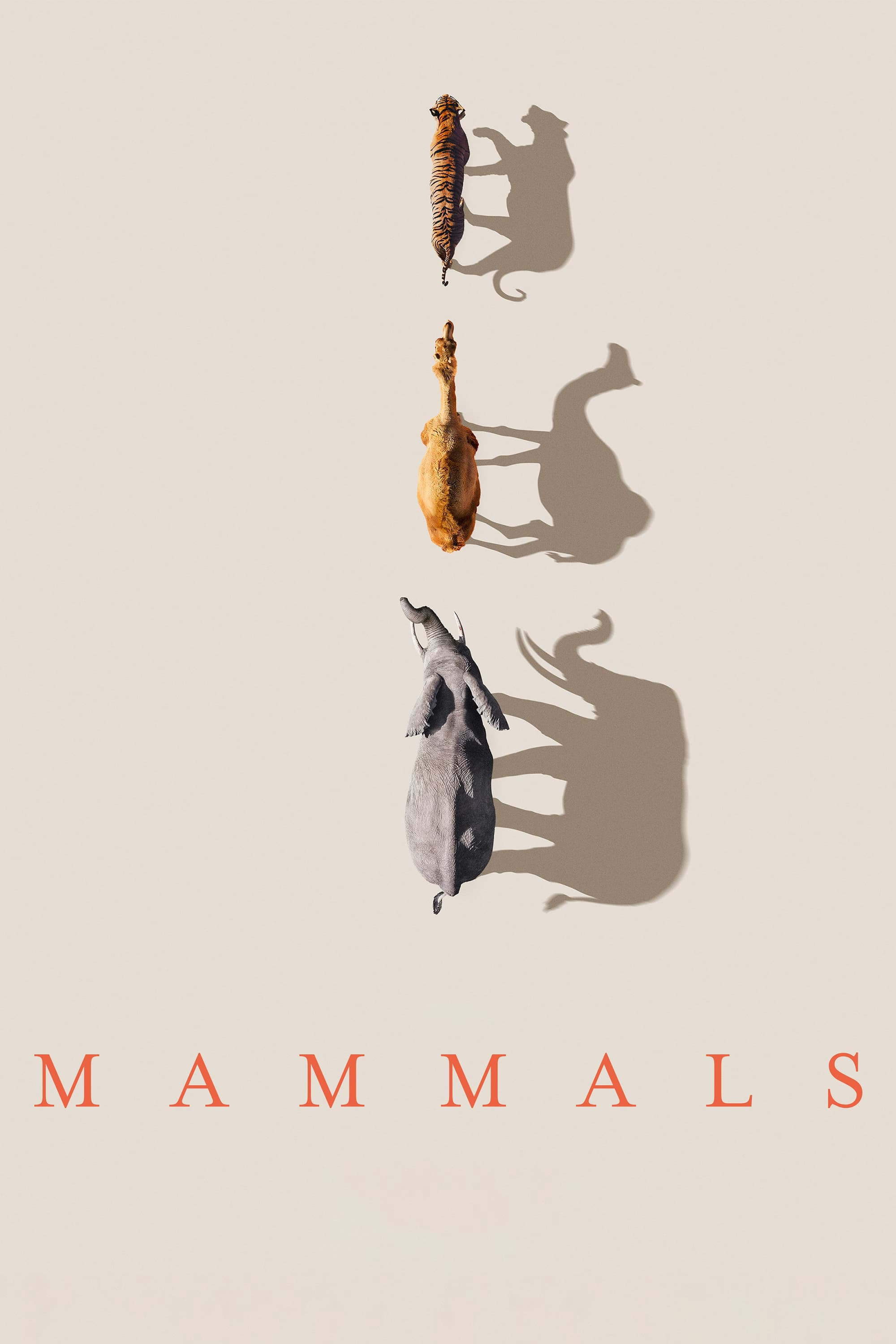 Mammals (2024) (2024)