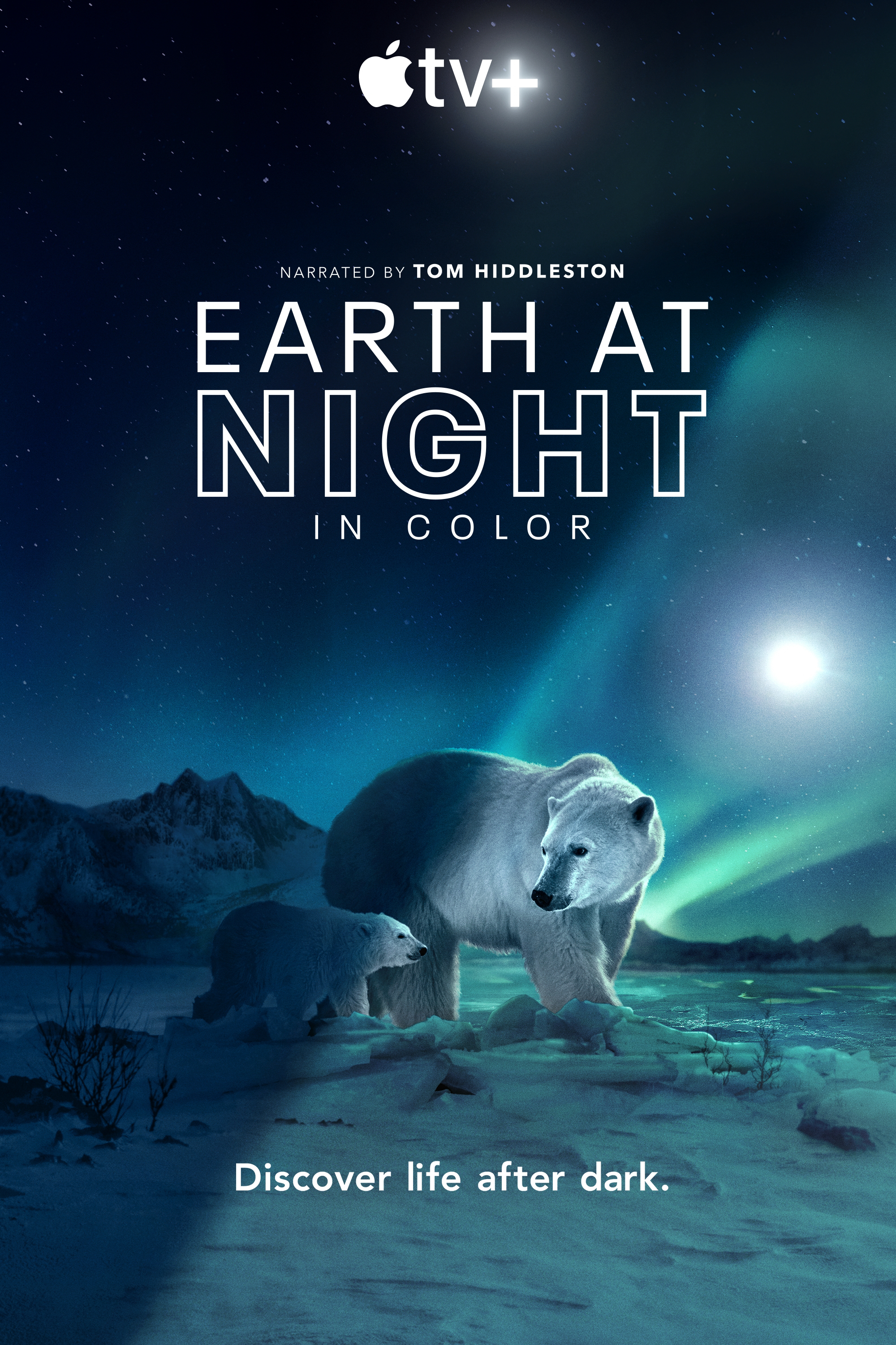 Night on Earth: Shot in the Dark