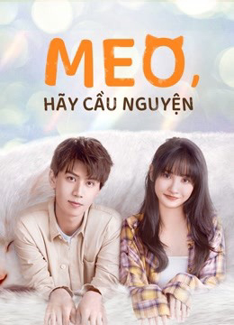 Meo, Hãy Cầu Nguyện (2021)