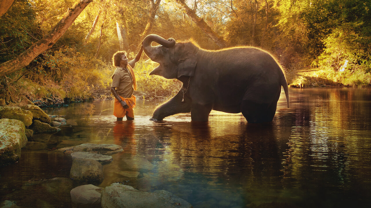Người chăm voi - The Elephant Whisperers (2022)