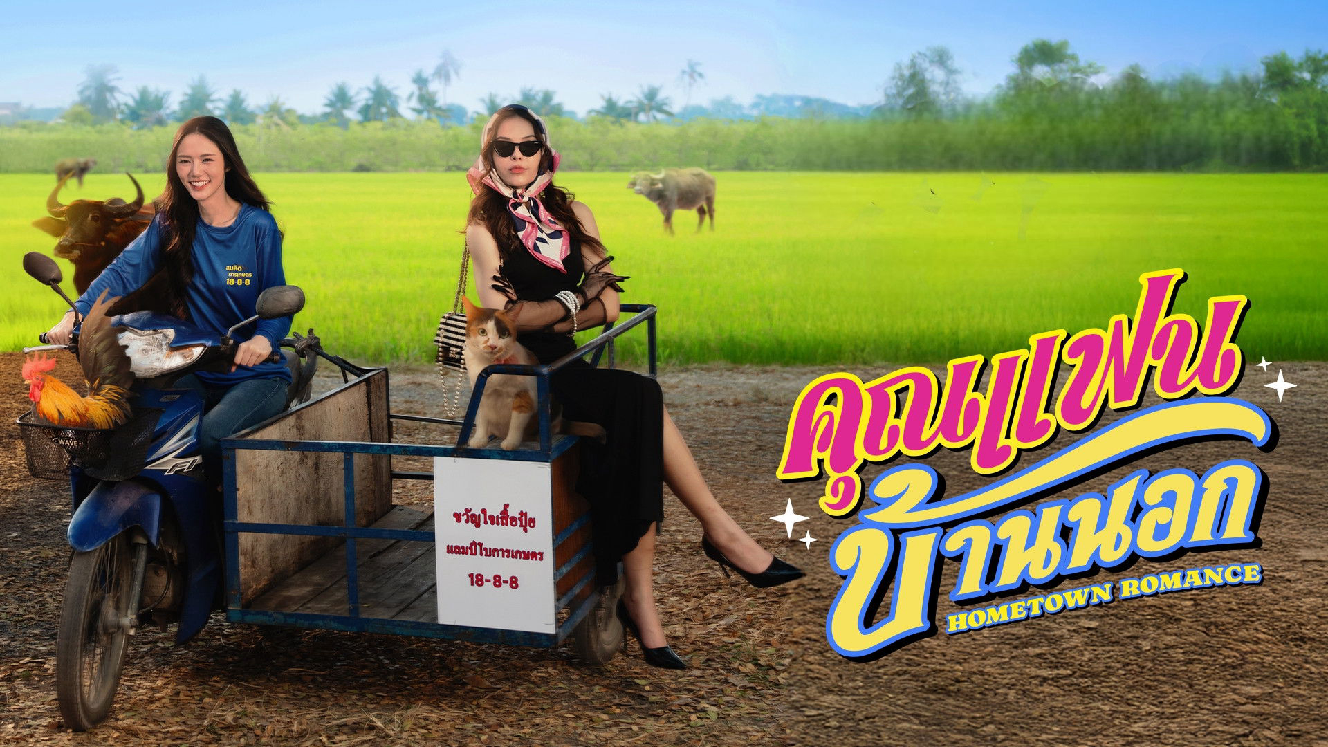 Poster phim Người Yêu Miền Quê