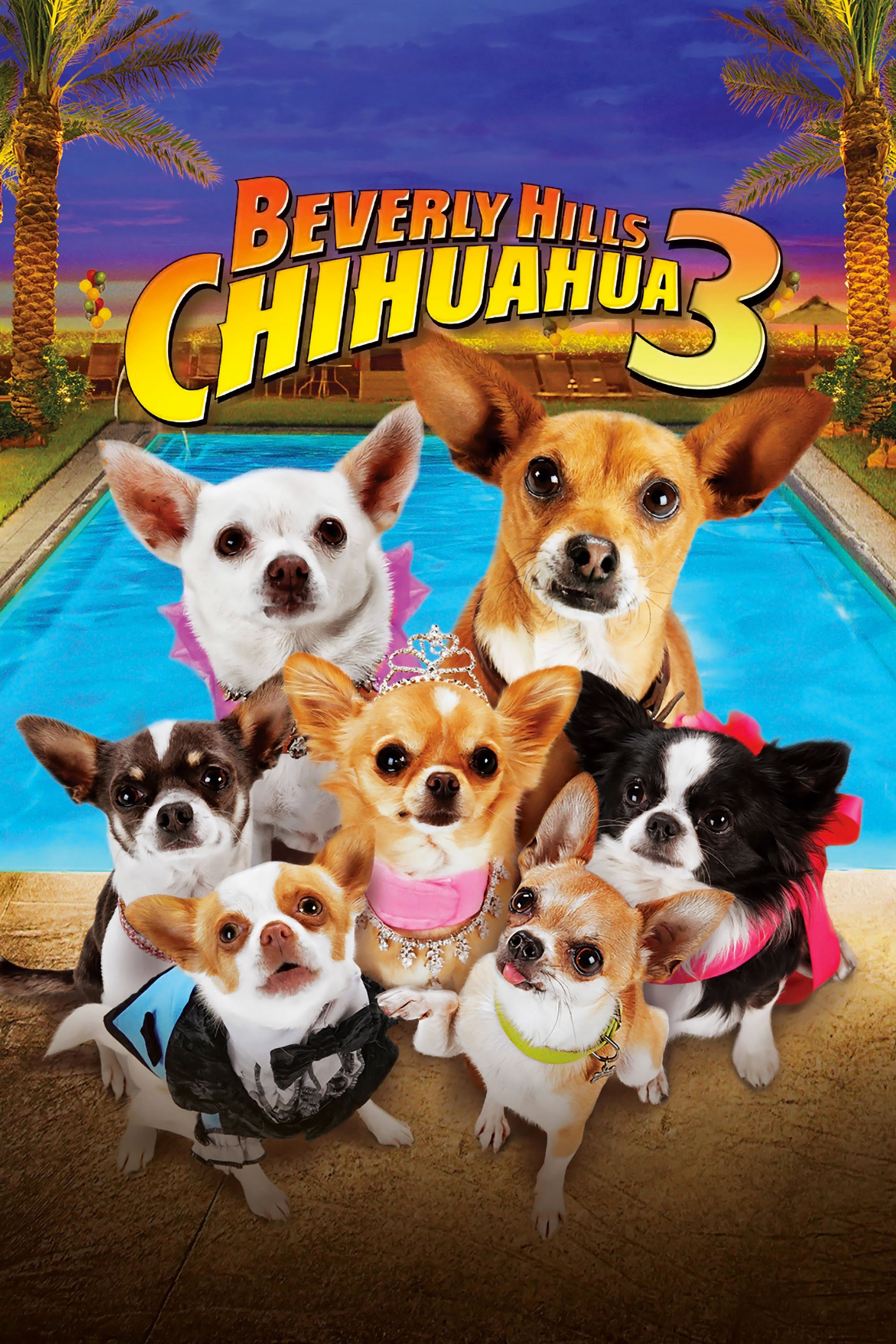 Những Chú Chó Chihuahua 3 (2012)