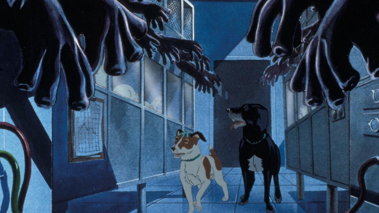 Những Chú Chó Mang Bệnh Dịch Hạch The Plague Dogs