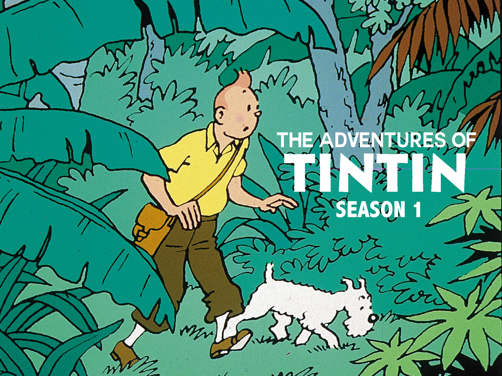 Những Cuộc Phiêu Lưu Của Tintin: Phần 1 The Adventures of Tintin (Season 1)