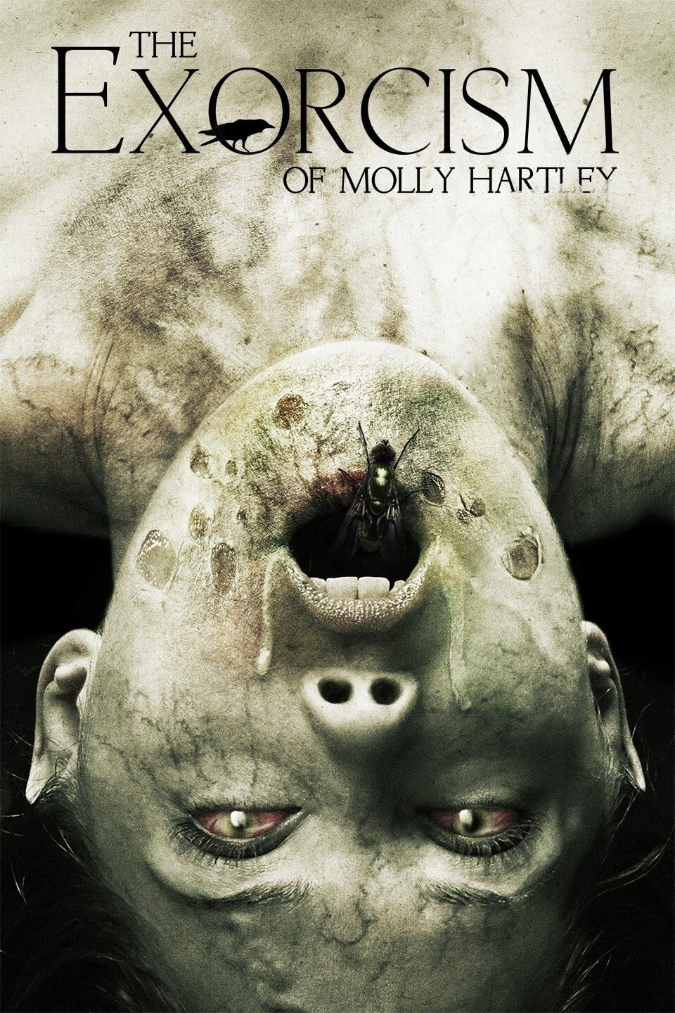 Nỗi Ám Ảnh Của Molly - The Exorcism of Molly Hartley