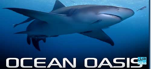 Ốc Đảo Của Đại Dương - Ocean Oasis (2000)