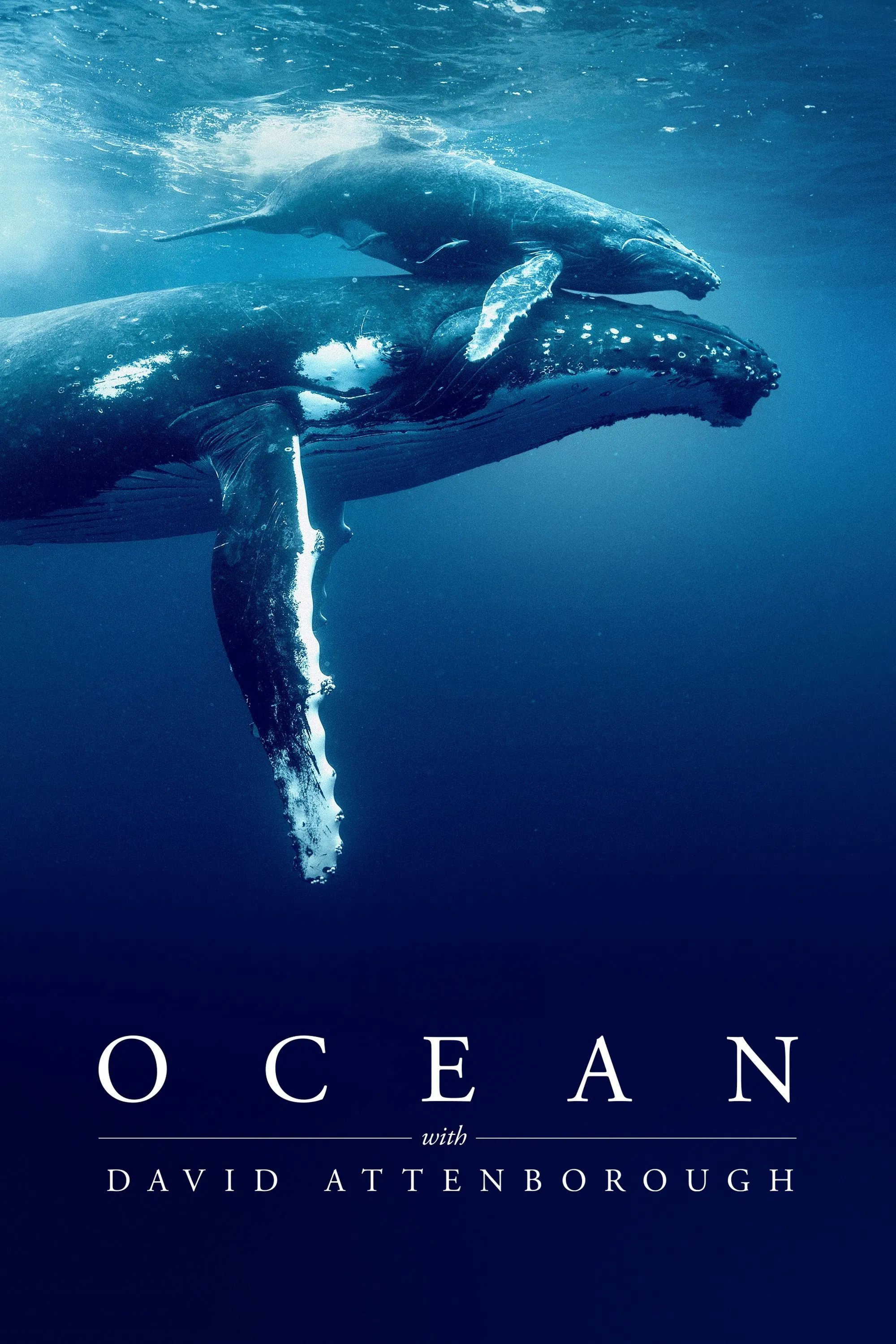 Ocean with David Attenborough - Ocean with David Attenborough (2025) Ocean with David Attenborough - Ocean with David Attenborough (2025)
