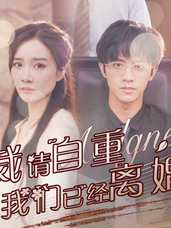 Ông Tổng Giám Đốc, Xin Hãy Tự Trọng - Chúng Ta Đã Ly Hôn Rồi