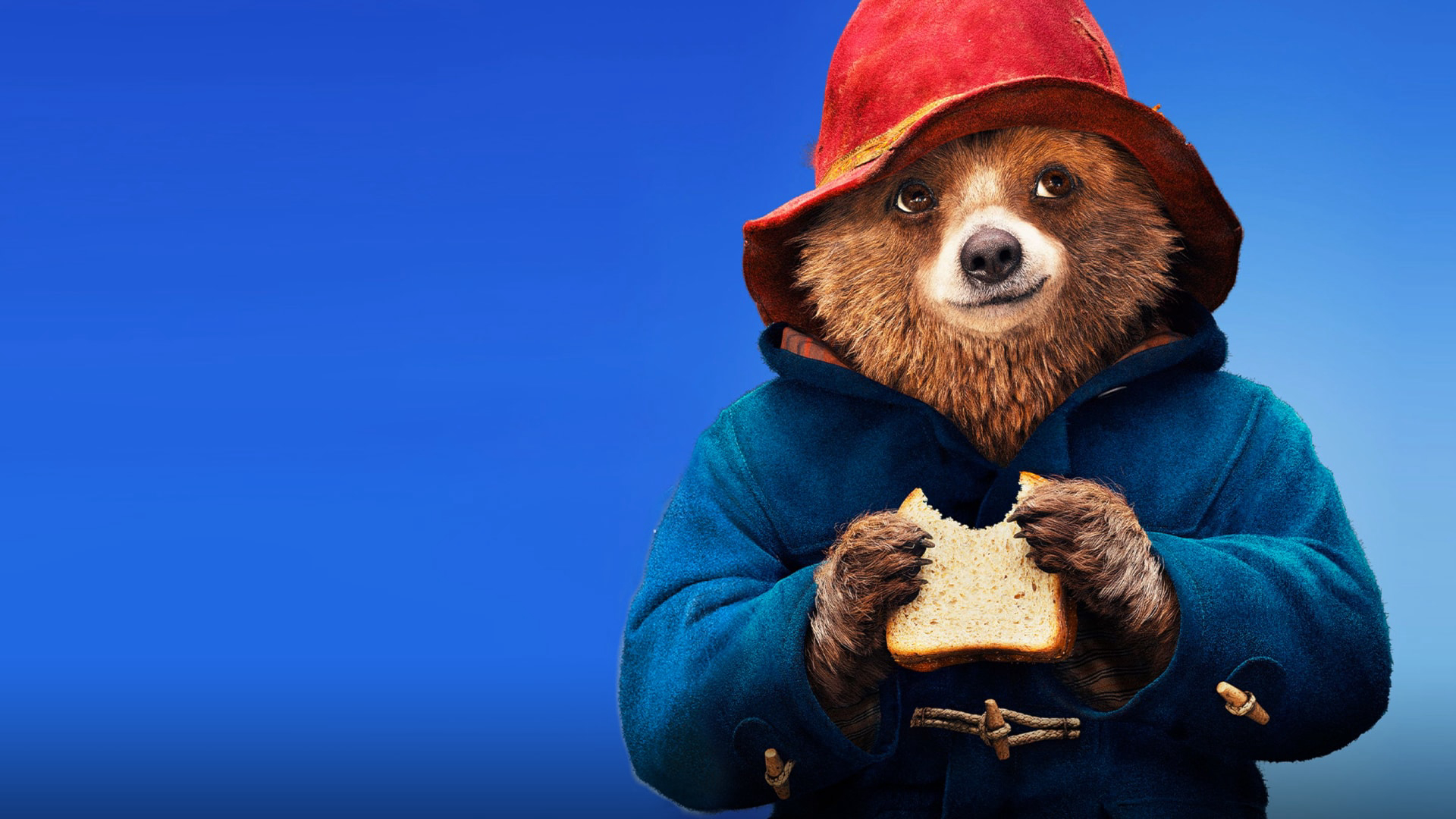 Paddington Vietsub