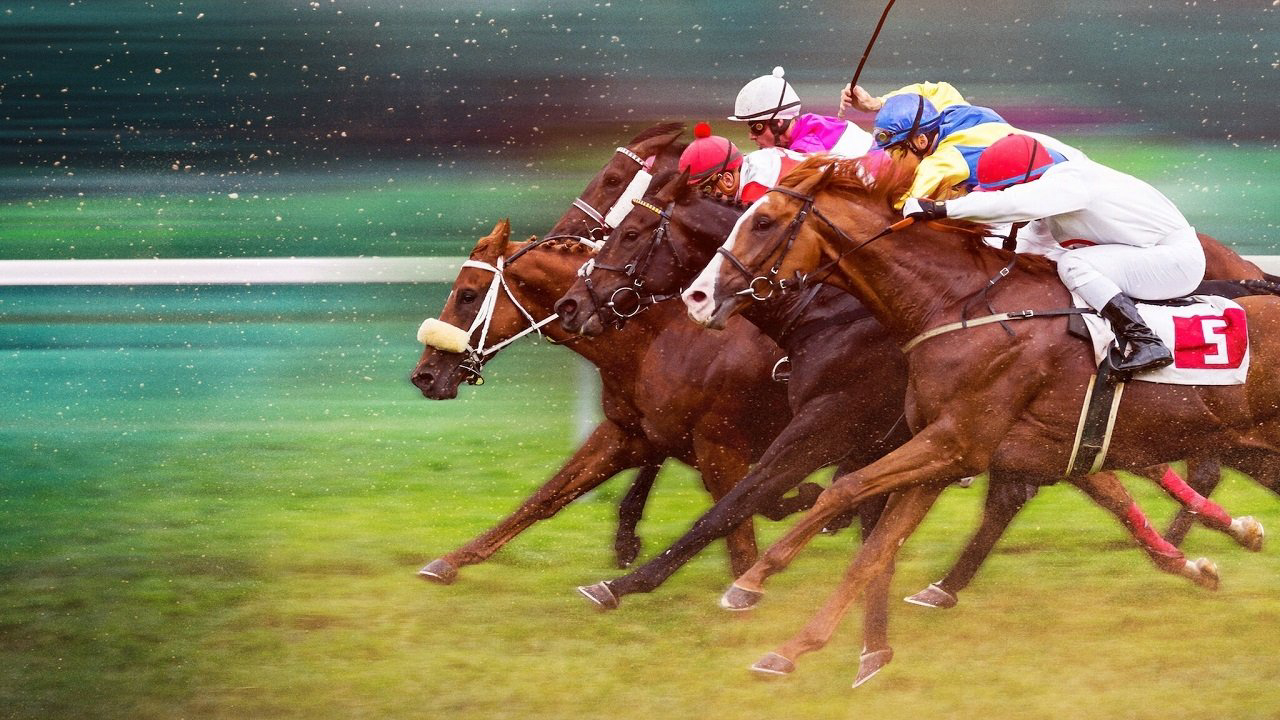 Phi Nước Kiệu Đến Ngôi Vương Race for the Crown