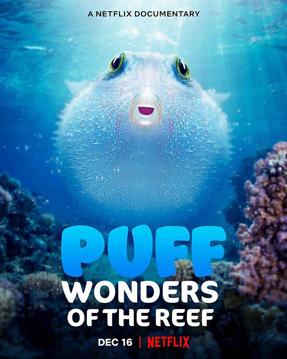 Puff: Wonders of the Reef