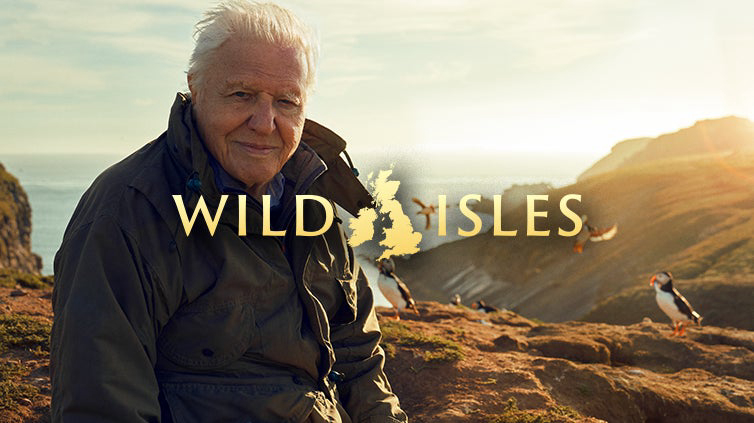 Quần Đảo Anh Hoang Dã - Wild Isles (2023)