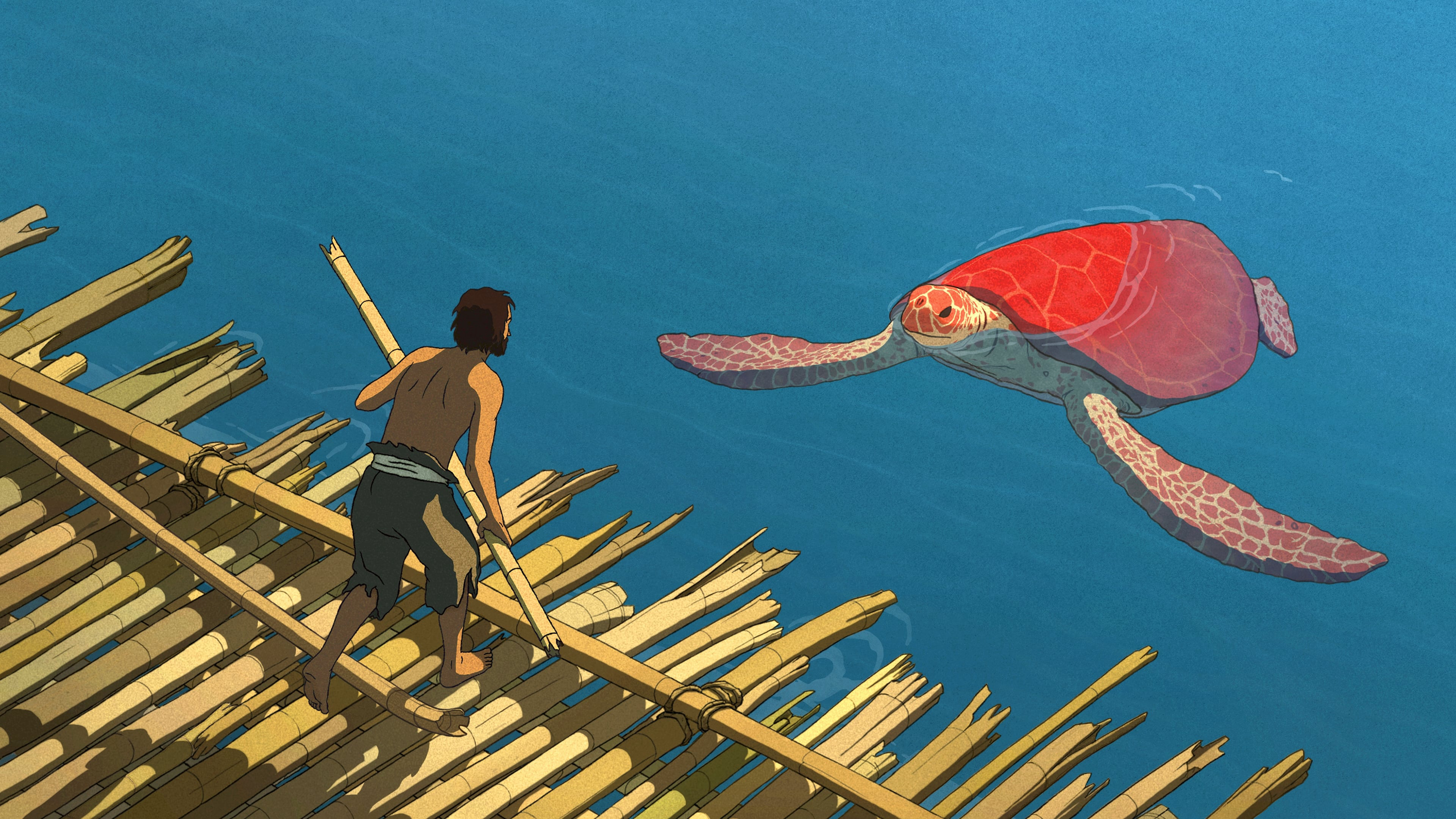 Rùa đỏ - The Red Turtle (2016)