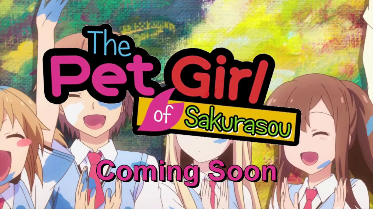 Sakurasou No Pet Na Kanojo - The Pet Girl of Sakurasou [Blu-ray] (2015)