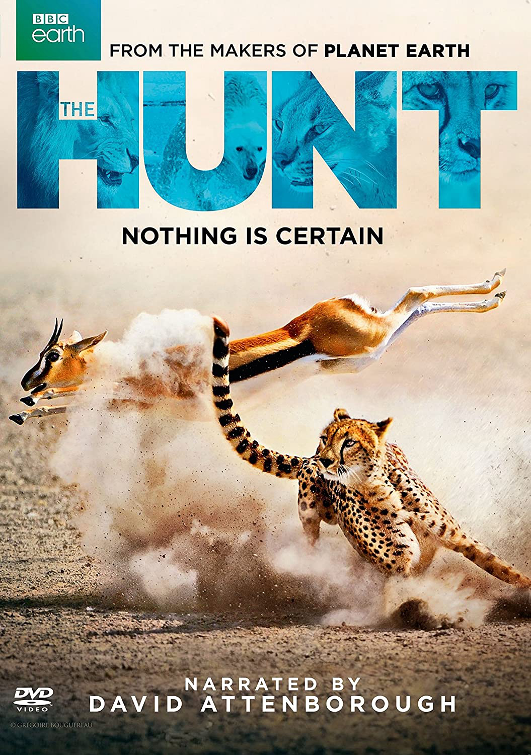 BBC: The Hunt