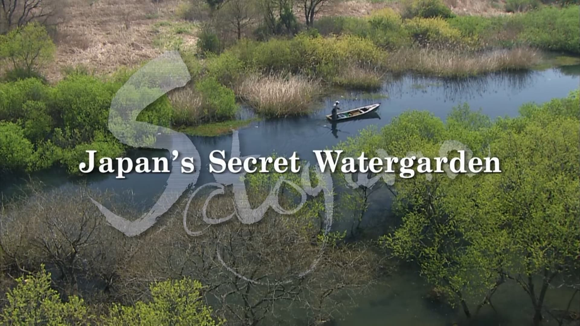 SATOYAMA: Khu Vườn Thủy Sinh Tuyệt Vời Satoyama II: Japan's Secret Watergarden
